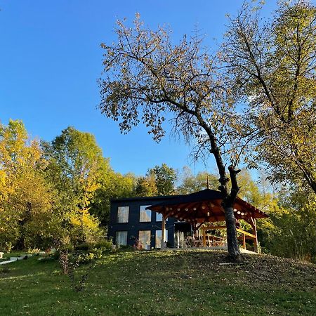Casa De Pe Un Deal-Provita De Sus-Prahova المظهر الخارجي الصورة